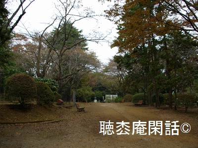 須和田遺跡 - 市川の歴史・観光 Vol.05 -