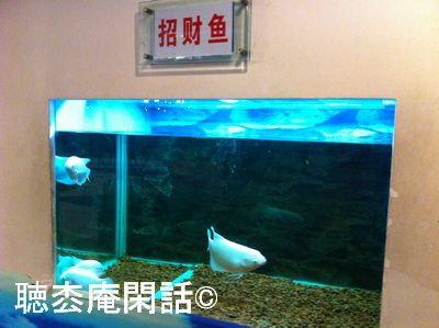 上海・魚